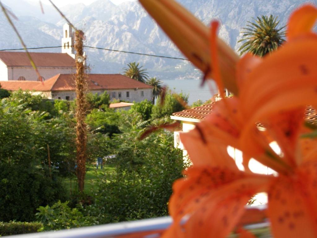 Djurovic Apartments Montenegro Kotor Kamer foto